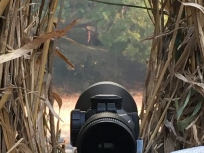 Afrika Hunting - Jagen in Mozambique