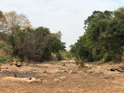 Afrika Hunting - Jagen in Mozambique