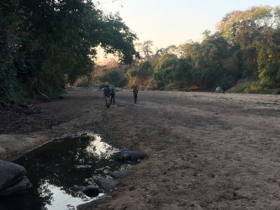 Afrika Hunting - Jagen in Mozambique