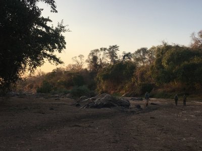 Afrika Hunting - Jagen in Mozambique