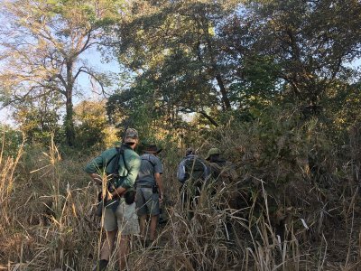 Afrika Hunting - Jagen in Mozambique