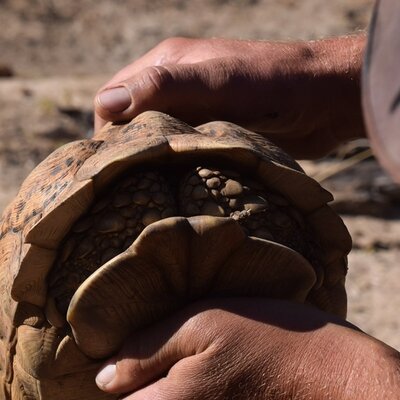 Afrika Hunting - Jagen und mehr in Namibia